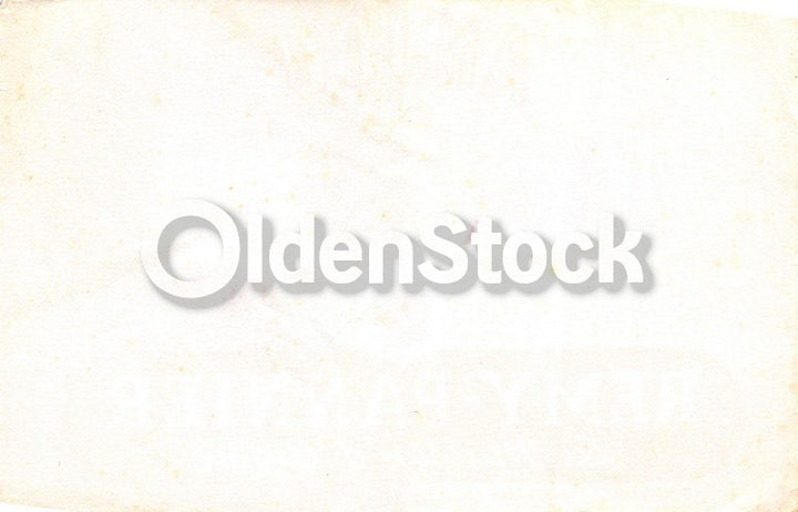 Anjou French Wines Remy Pannier Antique Graphic Advertising Ink Blotter