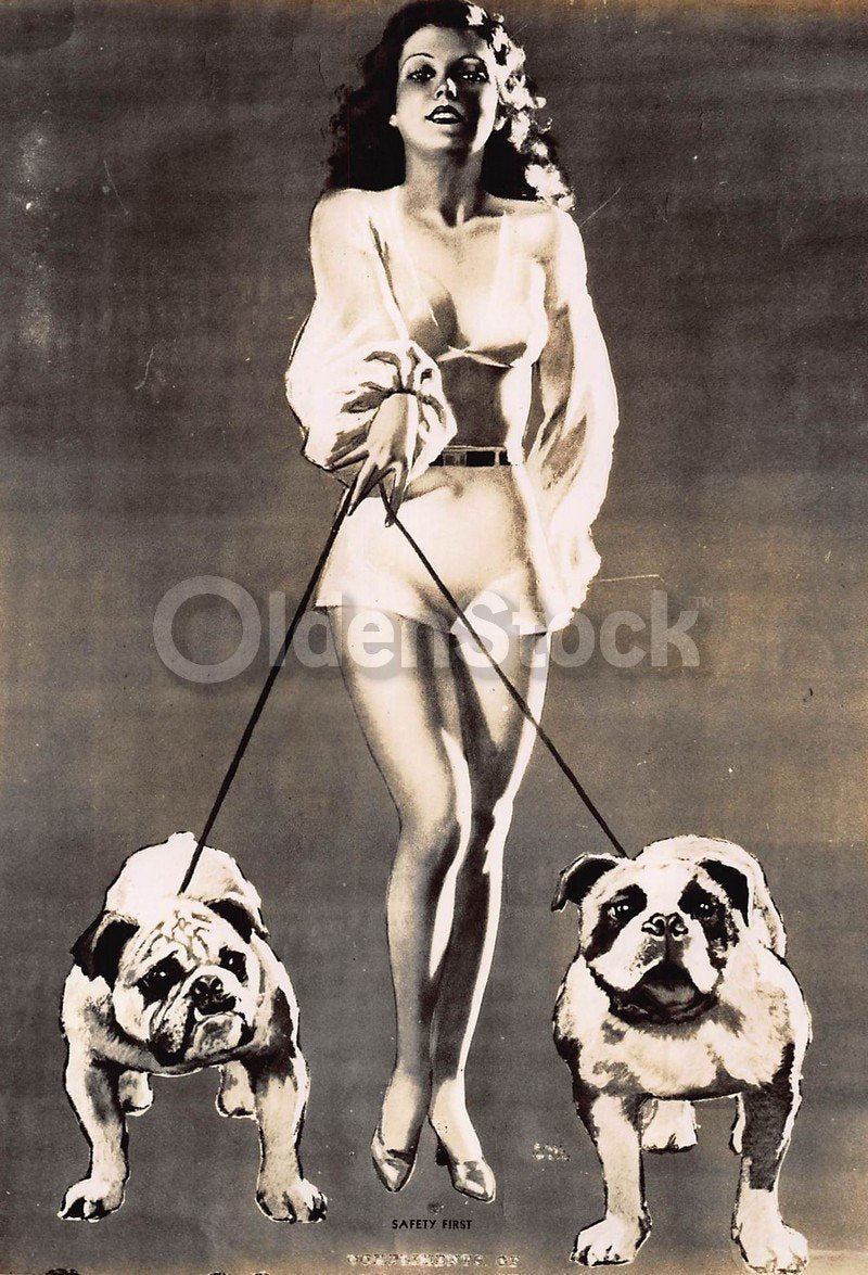 American Bulldogs with Pin-up Girl Owner VIntage Graphic Illustration Photograph