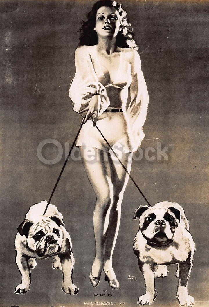 American Bulldogs with Pin-up Girl Owner VIntage Graphic Illustration Photograph