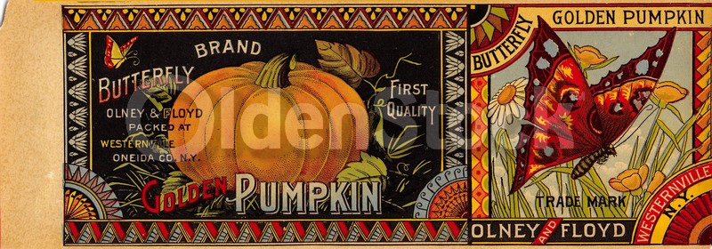 Olney & Floyd Butterfly Brand Golden Pumpkins Antique Advertising Canning Label