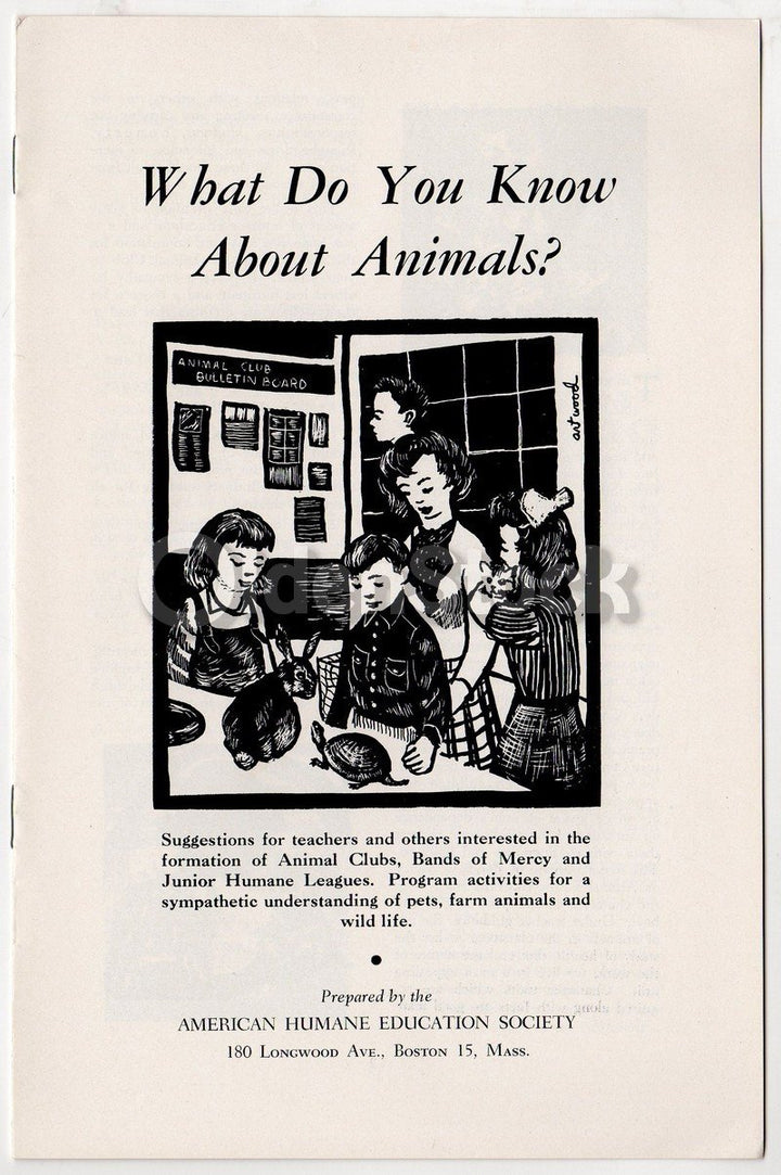 Teachings About Animals Vintage Graphic Illustrated Humane Society Educational Booklet