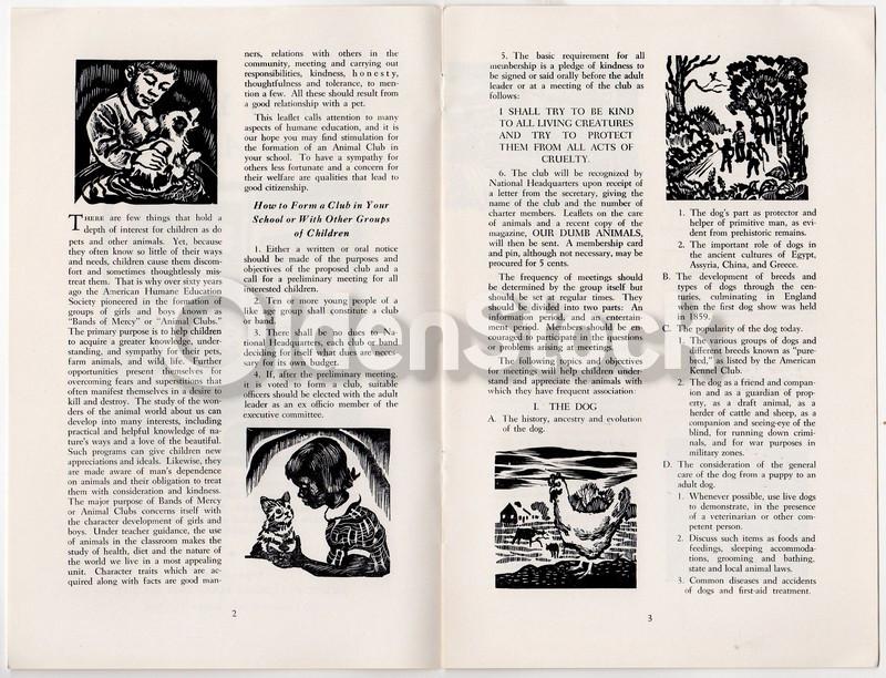Teachings About Animals Vintage Graphic Illustrated Humane Society Educational Booklet