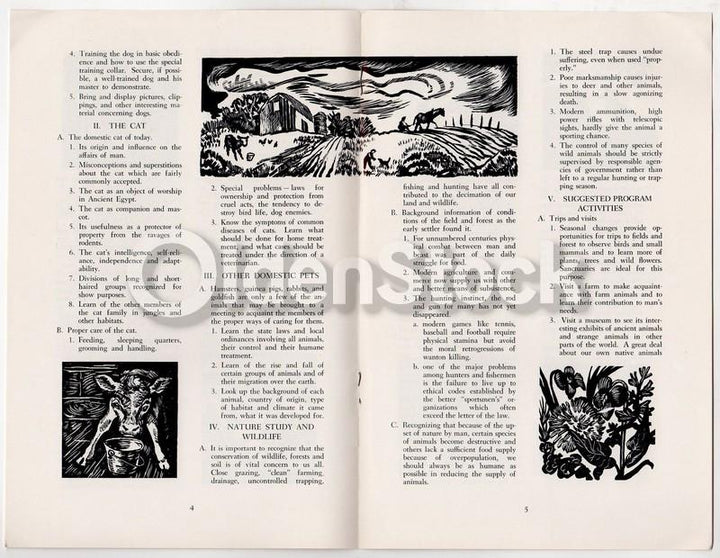 Teachings About Animals Vintage Graphic Illustrated Humane Society Educational Booklet
