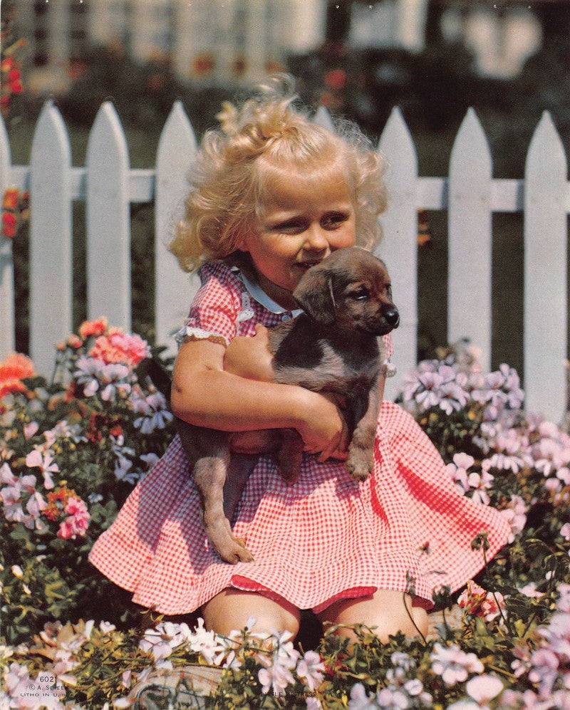 Adorable Little Girl & Her Cute Puppy Dog Vintage Embossed Litho Print 1940s