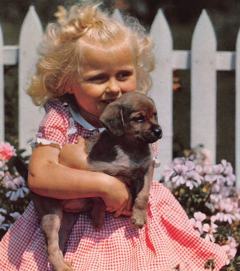 Adorable Little Girl & Her Cute Puppy Dog Vintage Embossed Litho Print 1940s