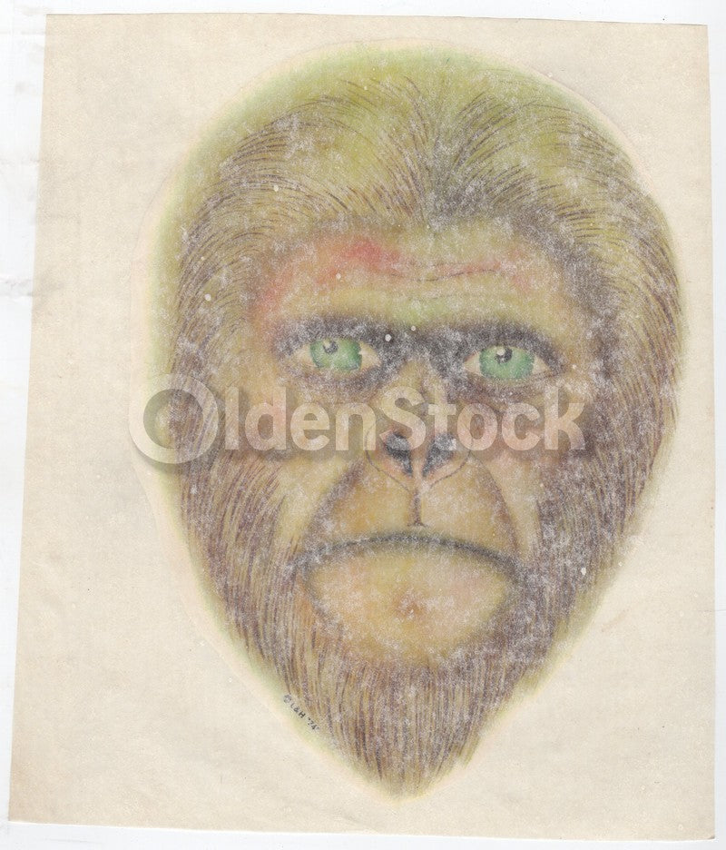 Bigfoot Sasquatch Yeti Face Vintage 1970s Heat Transfer Iron On Graphic