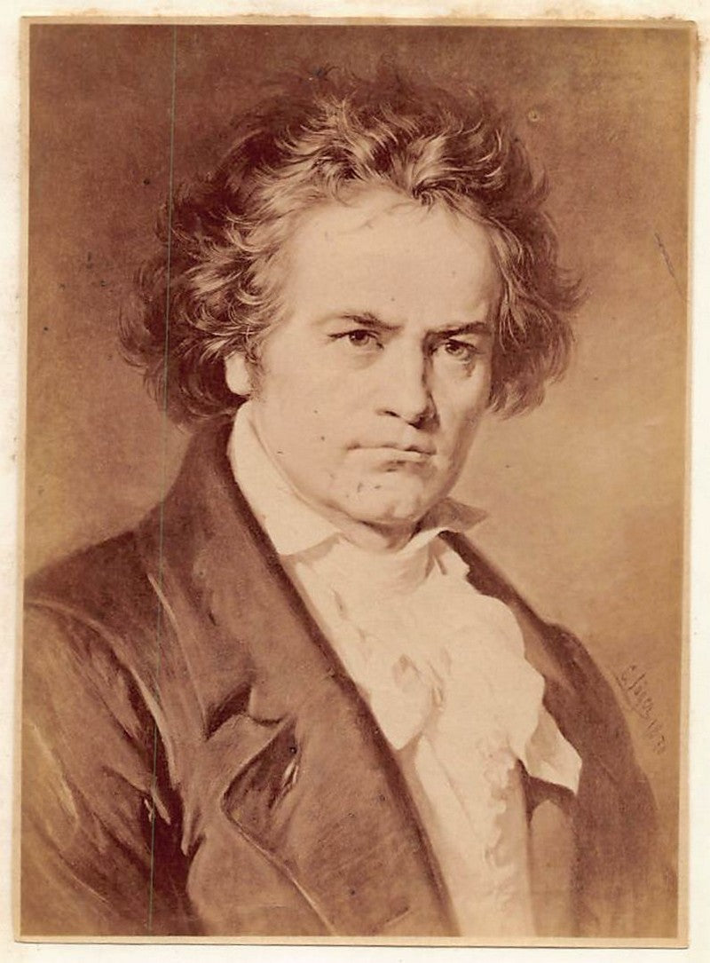 Ludwig van Beethoven German Music Composer Antique Albumen Print Photo c.1900
