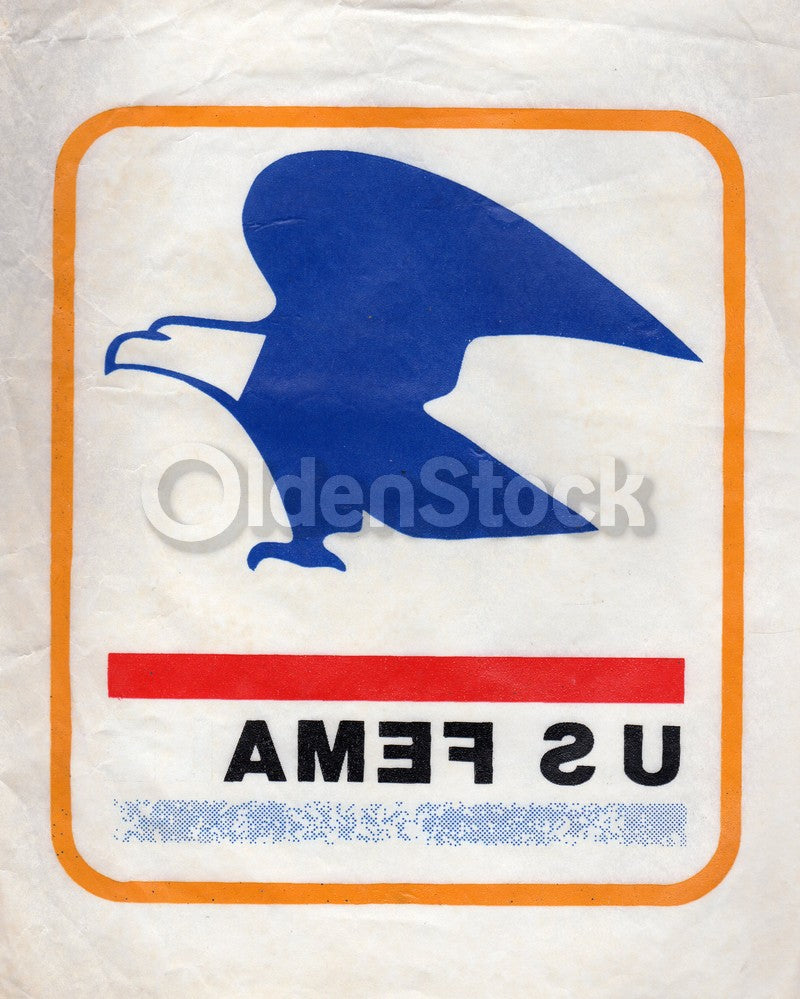 FEMA Federal Emergency Agency Vintage 1970s Heat Transfer Iron On Graphic