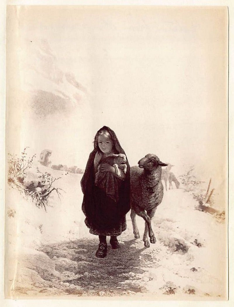 Little Girl and Lost Lamb Painting Antique Albumen Print Photo c.1900