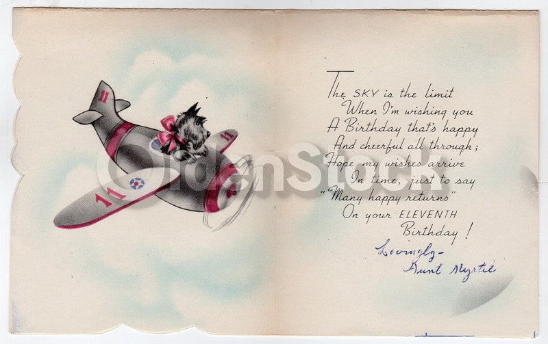 Cute Little Boy Girl & Dog Flying Airplane Vintage Graphic Art 11th Birthday Gre