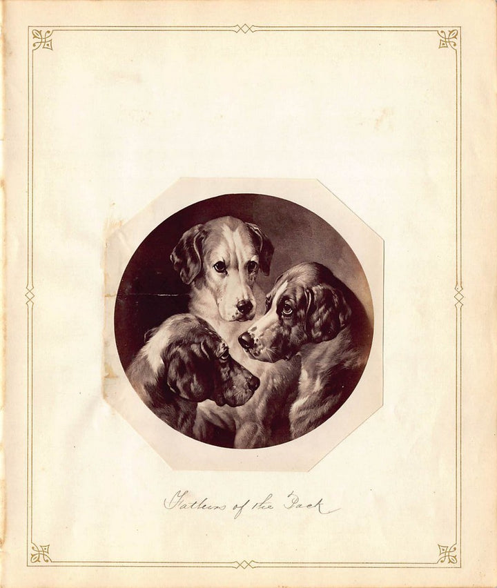 William Barraud Pack of Hounds Dog Painting Antique Albumen Print Photo c.1900