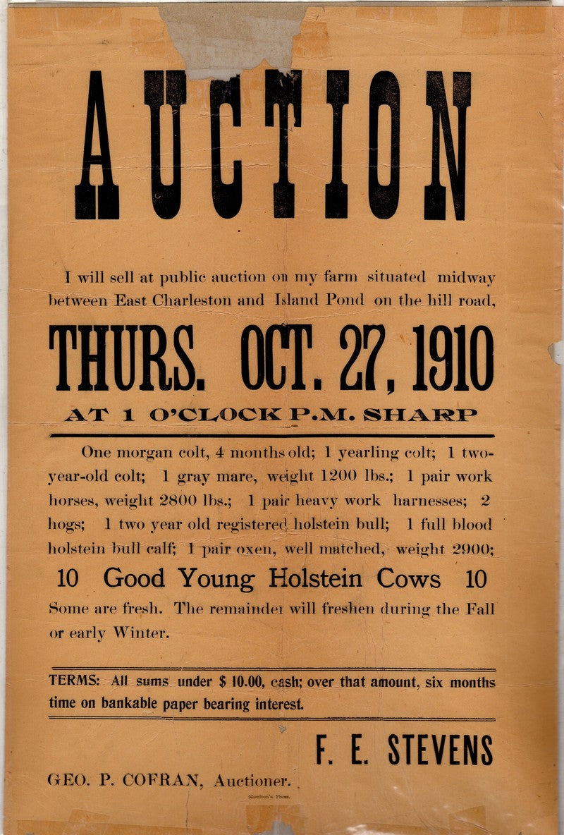 Island Pond Vermont Holstein Cows Livestock Auction Antique Broadside 1910