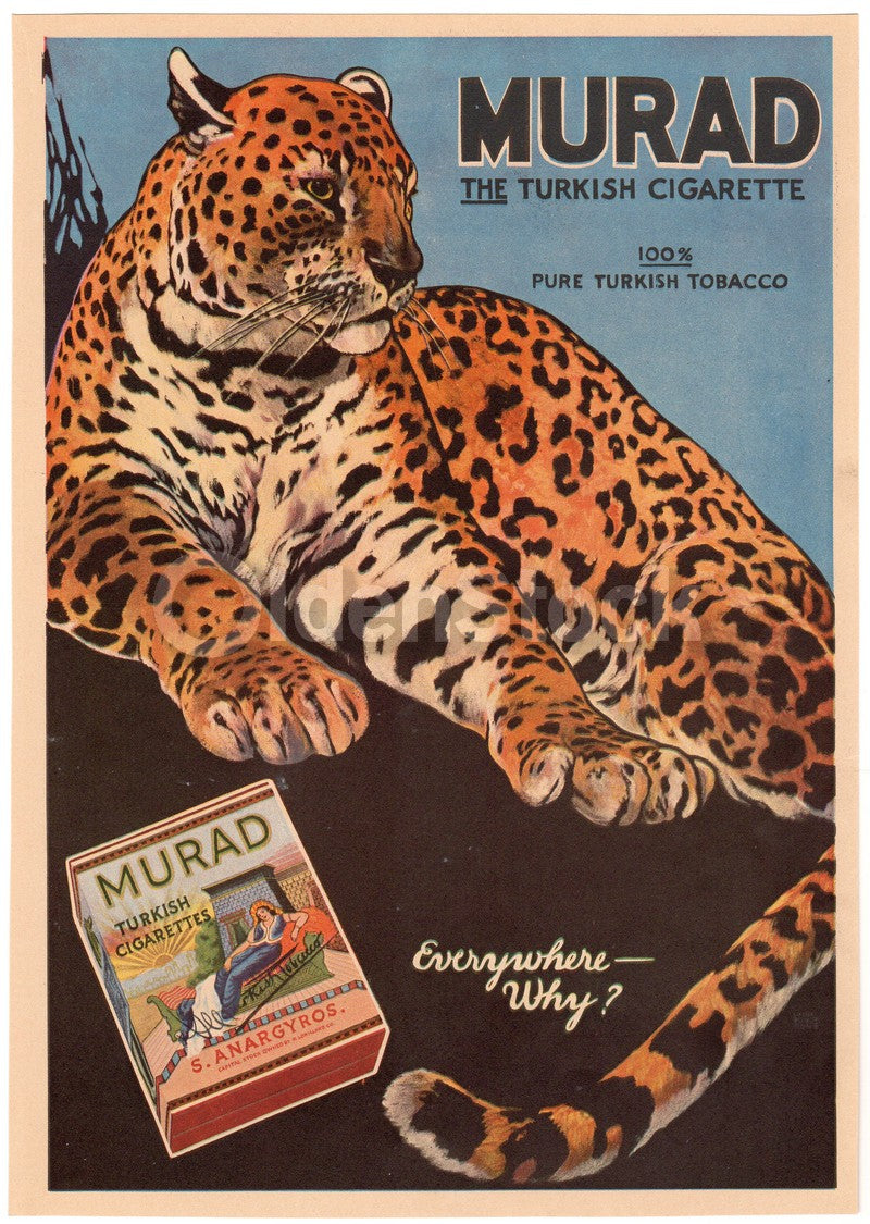 Murad Turkish Cigarettes Antique Graphic Advertising Leopard Print 1914
