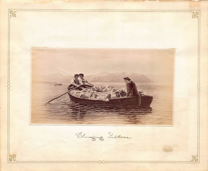 Rosa Bonheur Changing Pasture Shepherding Painting Antique Albumen Print Photo c.1900