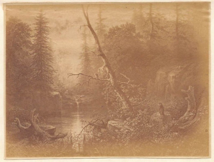 Karl Friedrich Lessing Forest Sunset Painting Antique Albumen Print Photo c.1900
