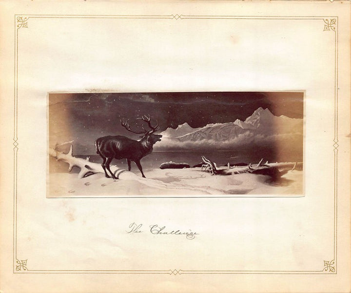 Edwin Henry Landseer Challenge Elk Wildlife Painting Antique Albumen Print Photo c.1900