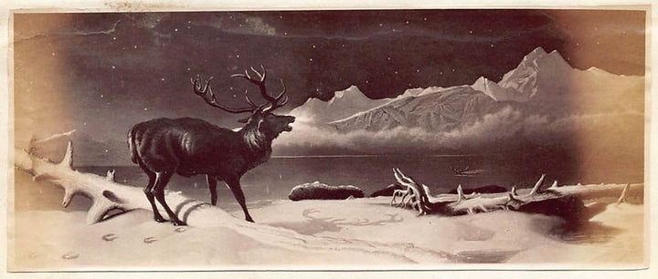 Edwin Henry Landseer Challenge Elk Wildlife Painting Antique Albumen Print Photo c.1900