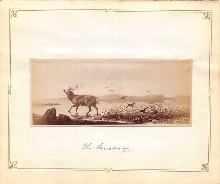 Edwin Henry Landseer Sanctuary Elk Wildlife Painting Antique Albumen Print Photo c.1900