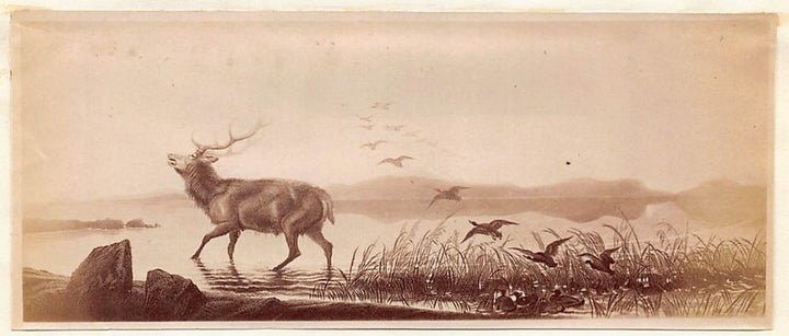 Edwin Henry Landseer Sanctuary Elk Wildlife Painting Antique Albumen Print Photo c.1900