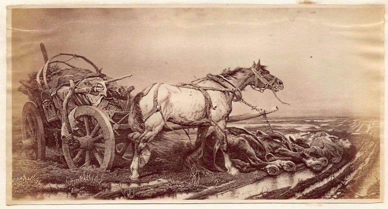 Richard Ansdell Abandoned Horse Cart Painting Antique Albumen Print Photo c.1900