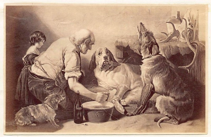 Richard Ansdell Wounded Hound Veterinarian Painting Antique Albumen Print Photo c.1900