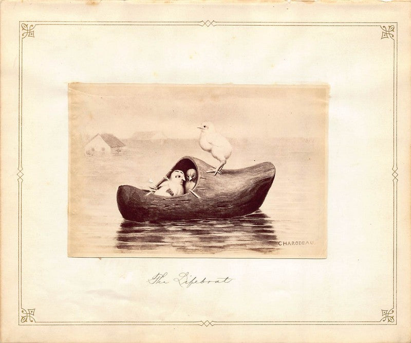 Francois Auguste Charodeau 'Lifeboat' Wildlife Painting Antique Albumen Print Photo c.1900