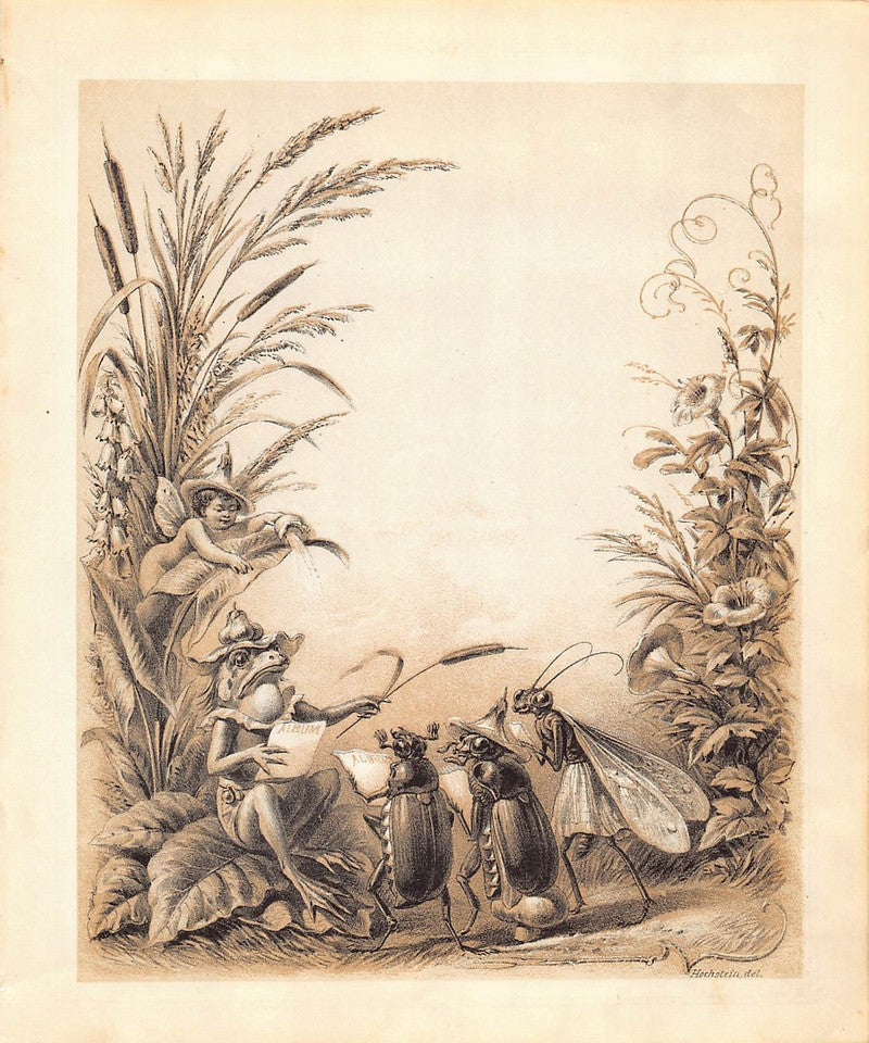 Mr Frog and Beetle People Antique Fantasy Illustration Art by Hochstein