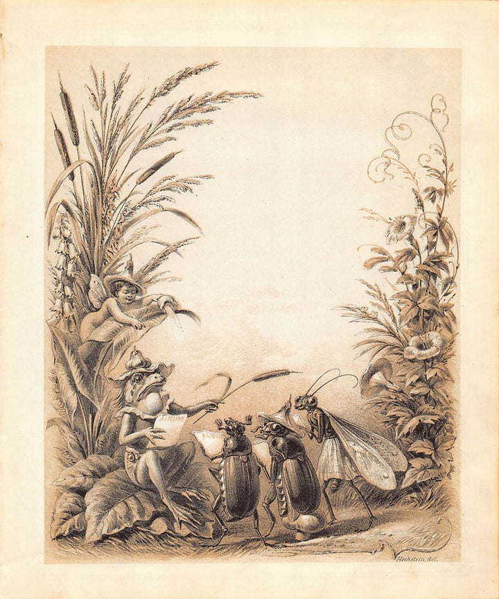Mr Frog and Beetle People Antique Fantasy Illustration Art by Hochstein