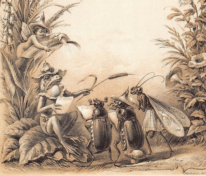 Mr Frog and Beetle People Antique Fantasy Illustration Art by Hochstein