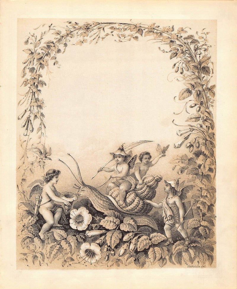 Fairies and Cherub Snail Riding Antique Fantasy Wildlife Illustration Art by Hochstein