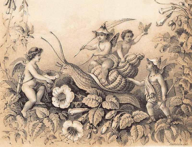 Fairies and Cherub Snail Riding Antique Fantasy Wildlife Illustration Art by Hochstein