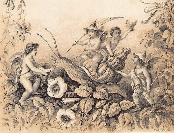 Fairies and Cherub Snail Riding Antique Fantasy Wildlife Illustration Art by Hochstein