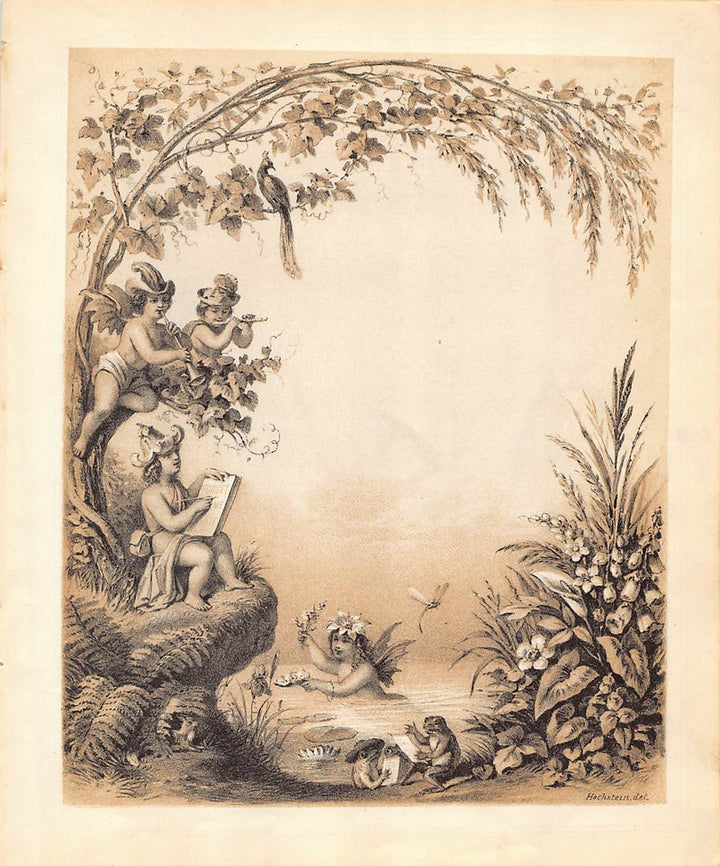 Fairies and Cherubs Bathing Antique Fantasy Wildlife Illustration Art by Hochstein