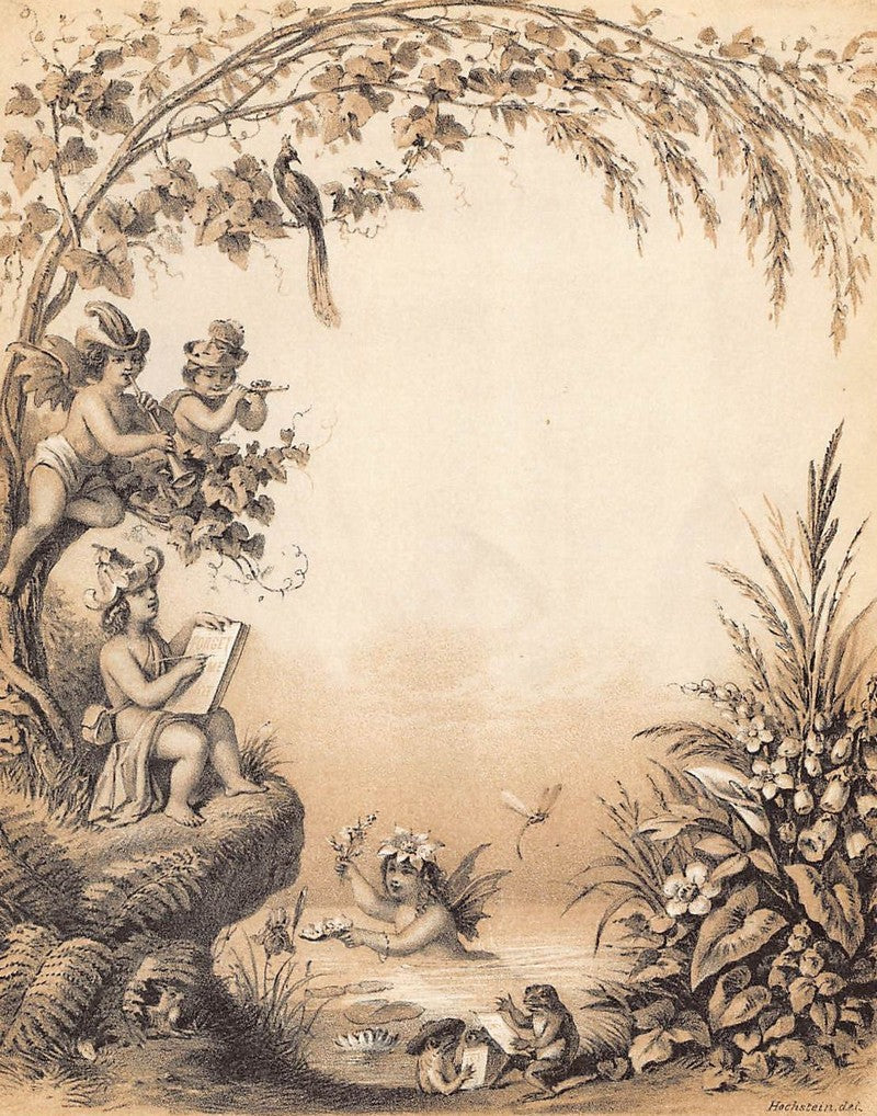 Fairies and Cherubs Bathing Antique Fantasy Wildlife Illustration Art by Hochstein