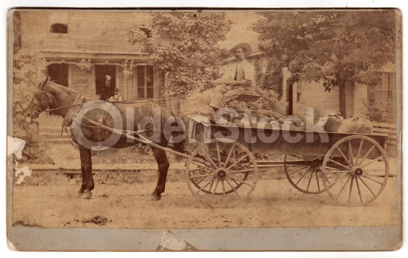 Horse & Wagon Old Marsh Home Farm North Maine IDed Antique Photo on Board