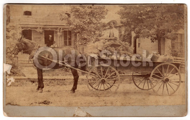 Horse & Wagon Old Marsh Home Farm North Maine IDed Antique Photo on Board