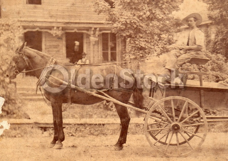 Horse & Wagon Old Marsh Home Farm North Maine IDed Antique Photo on Board