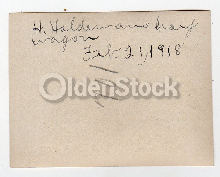 H. Haldeman Farm Antique Folk Art Hay Wagon Original Snapshot Photo 1918