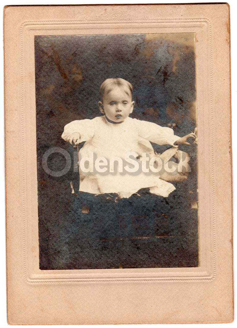 Victorian Little Boy and his Steiff Teddy Bear Antique Snapshot Photo on Board