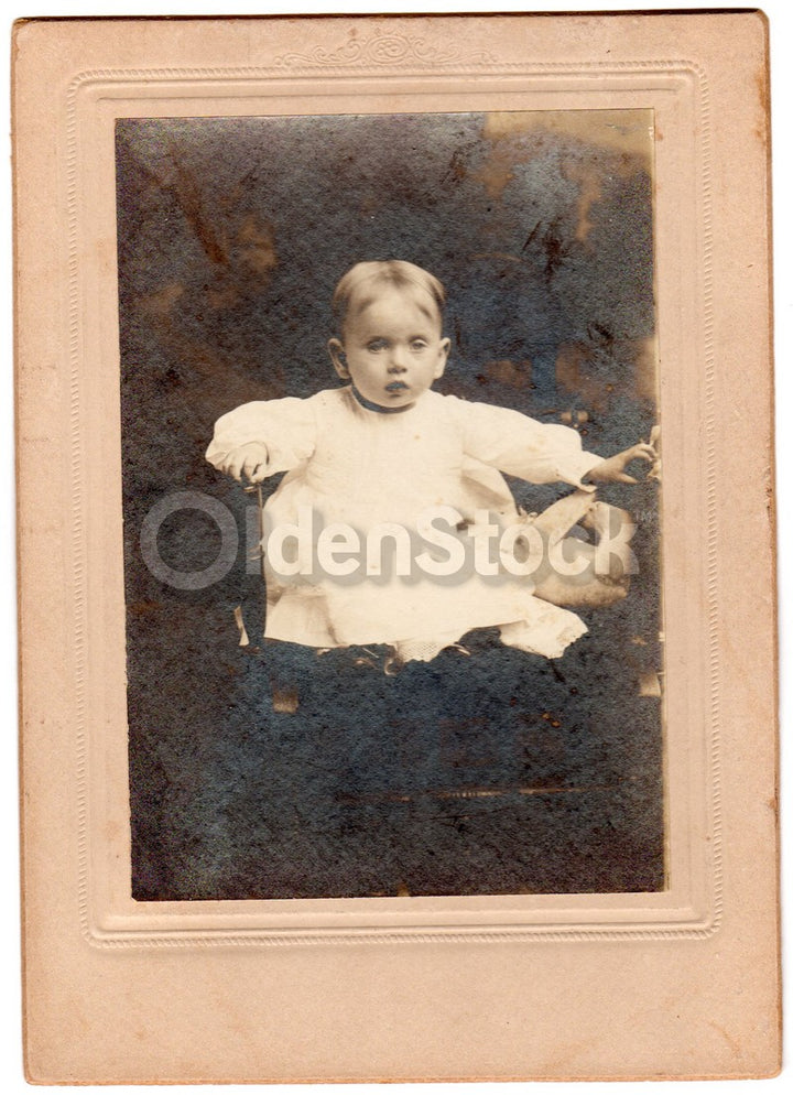 Victorian Little Boy and his Steiff Teddy Bear Antique Snapshot Photo on Board