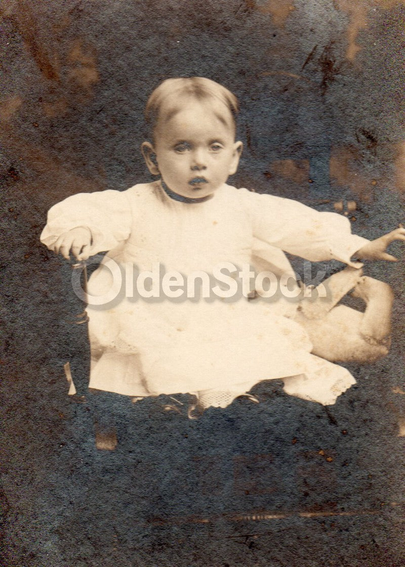 Victorian Little Boy and his Steiff Teddy Bear Antique Snapshot Photo on Board
