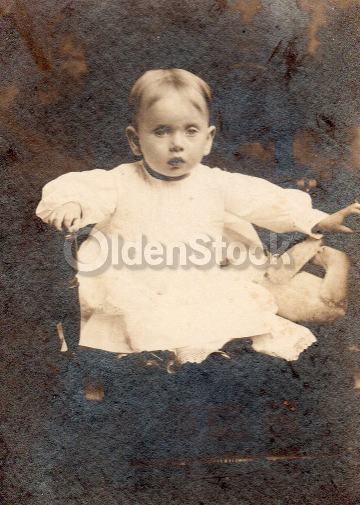 Victorian Little Boy and his Steiff Teddy Bear Antique Snapshot Photo on Board