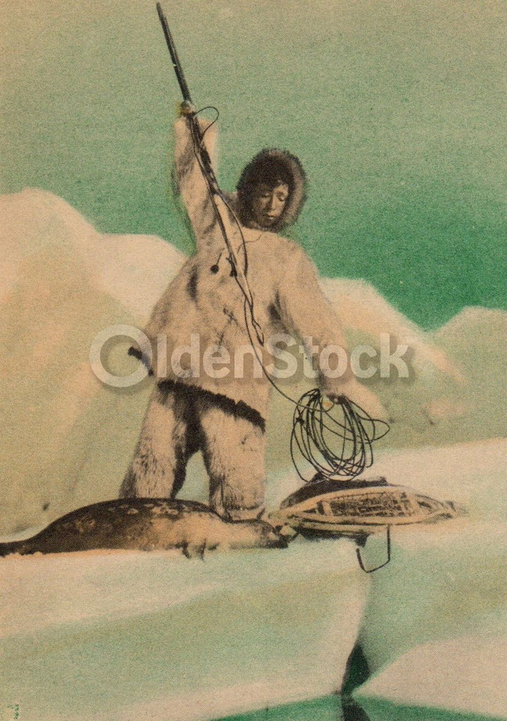 Eskimo Seal Hunting in the Arctic Antique Ethnographic Art Educational Poster Card 1934