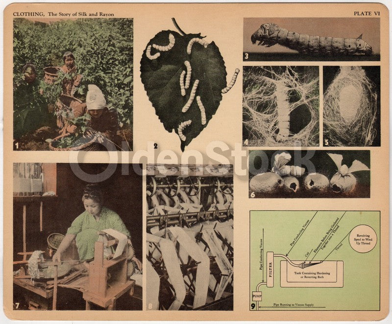 Chinese Silk and Rayon Making Antique Graphic Art Educational Poster Card