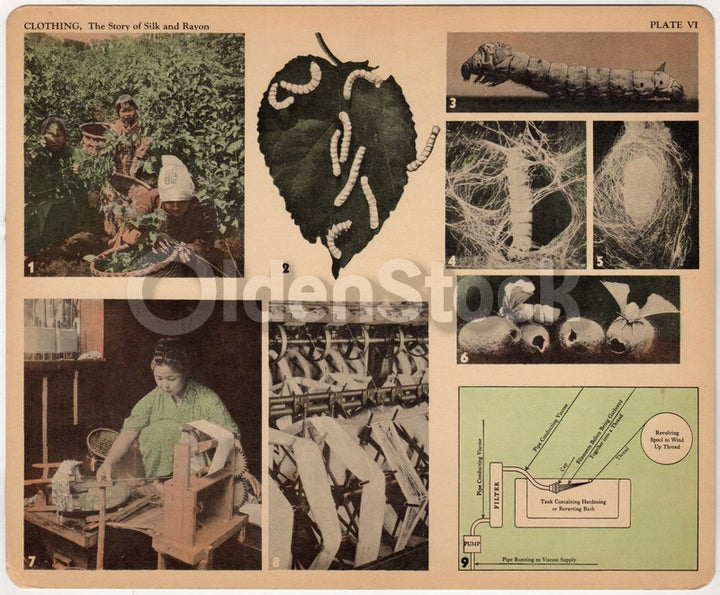 Chinese Silk and Rayon Making Antique Graphic Art Educational Poster Card