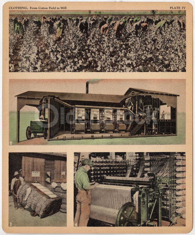 Southern Cotton Picking and Making Antique Graphic Art Educational Poster Card 1934