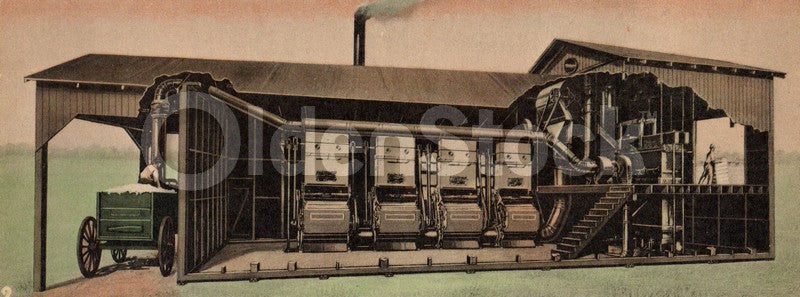 Southern Cotton Picking and Making Antique Graphic Art Educational Poster Card 1934