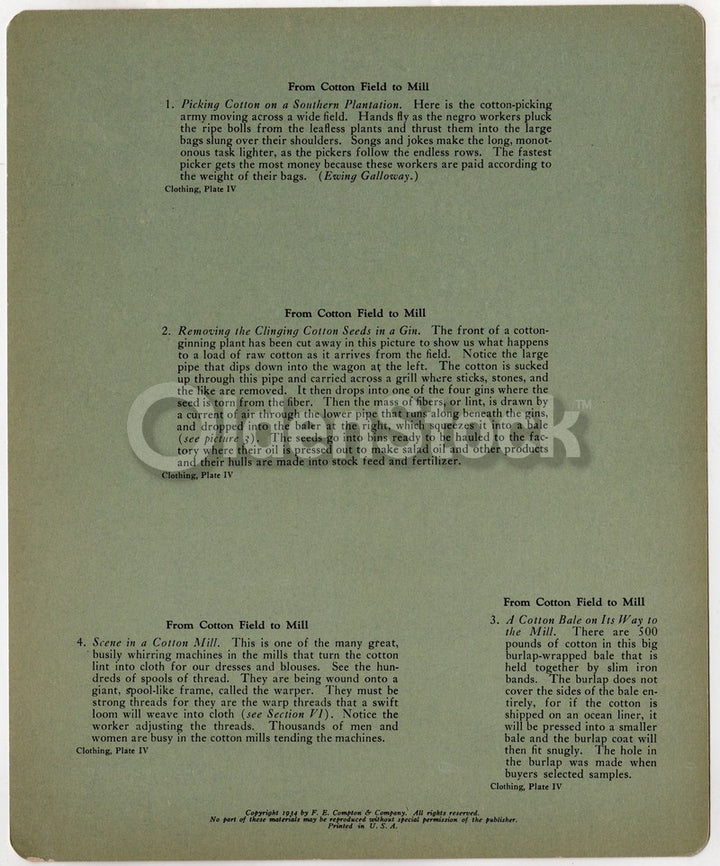 Southern Cotton Picking and Making Antique Graphic Art Educational Poster Card 1934