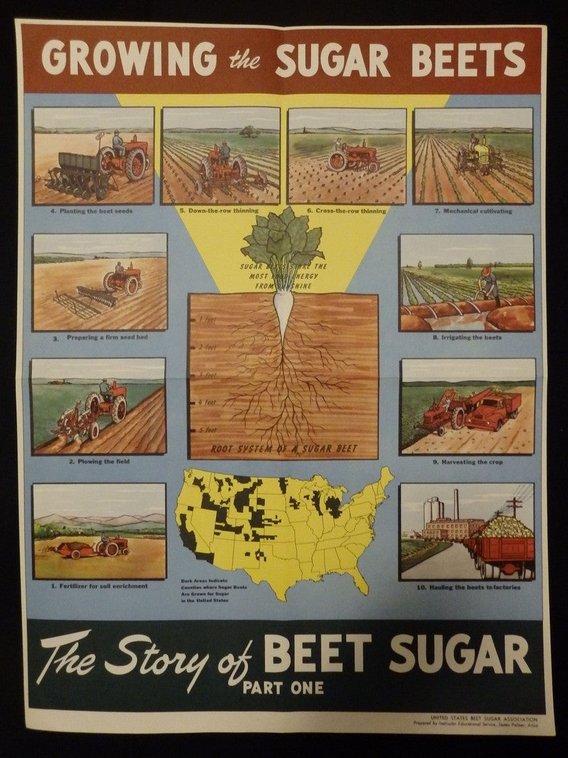 Sugar Beet Association Food Products Farming Vintage Health Advertising Poster