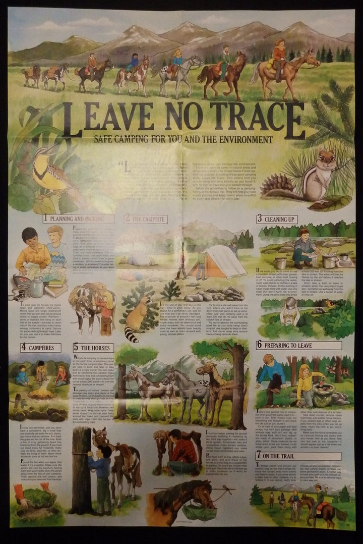 Leave No Trace Vintage Forestry Wildlife Recreation Educational Poster